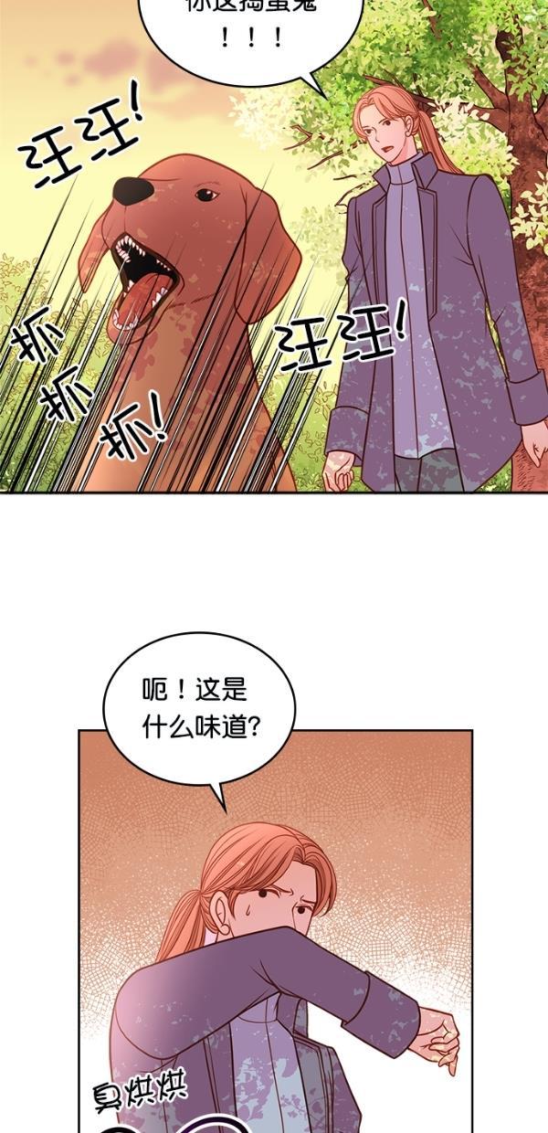 温蒂的花店韩漫全集-[第三季] 第4话无删减无遮挡章节图片 