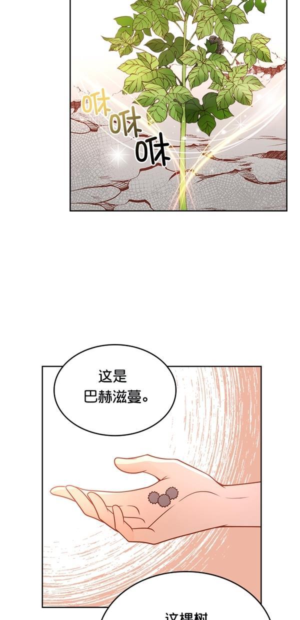温蒂的花店韩漫全集-[第三季] 第4话无删减无遮挡章节图片 