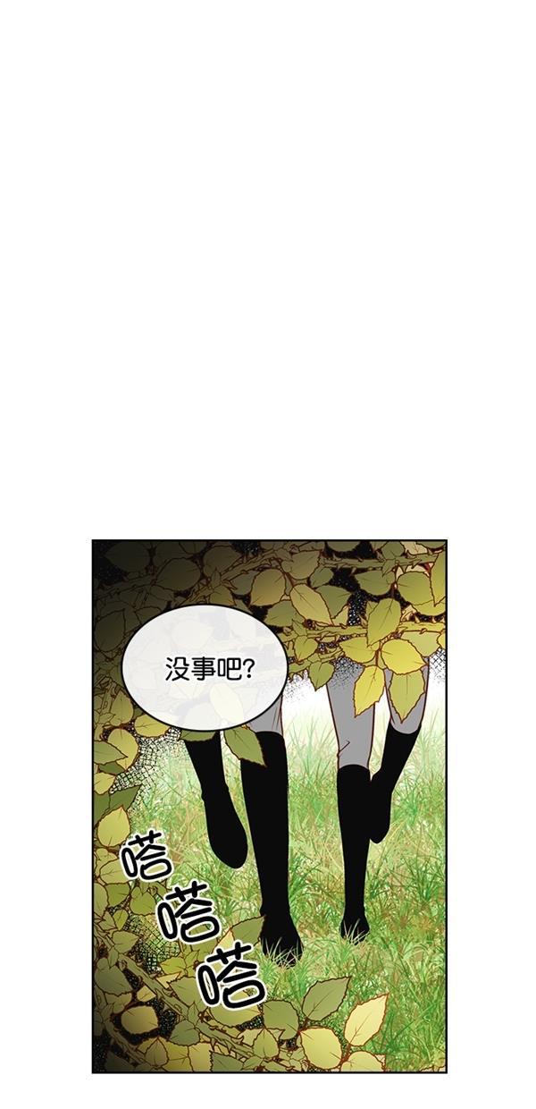 温蒂的花店韩漫全集-[第三季] 第5话无删减无遮挡章节图片 