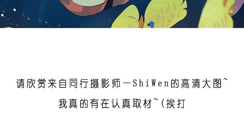 潜蓝韩漫全集-休刊无删减无遮挡章节图片 