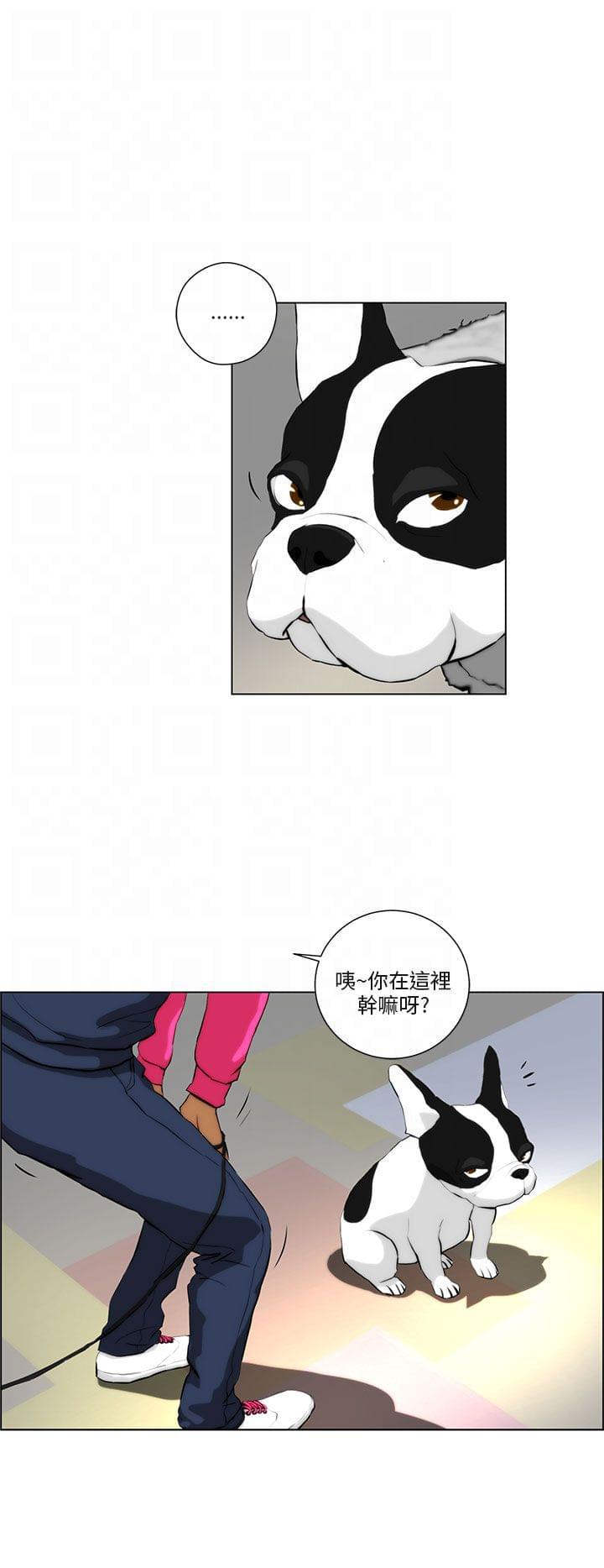 物种转换韩漫全集-第1话无删减无遮挡章节图片 