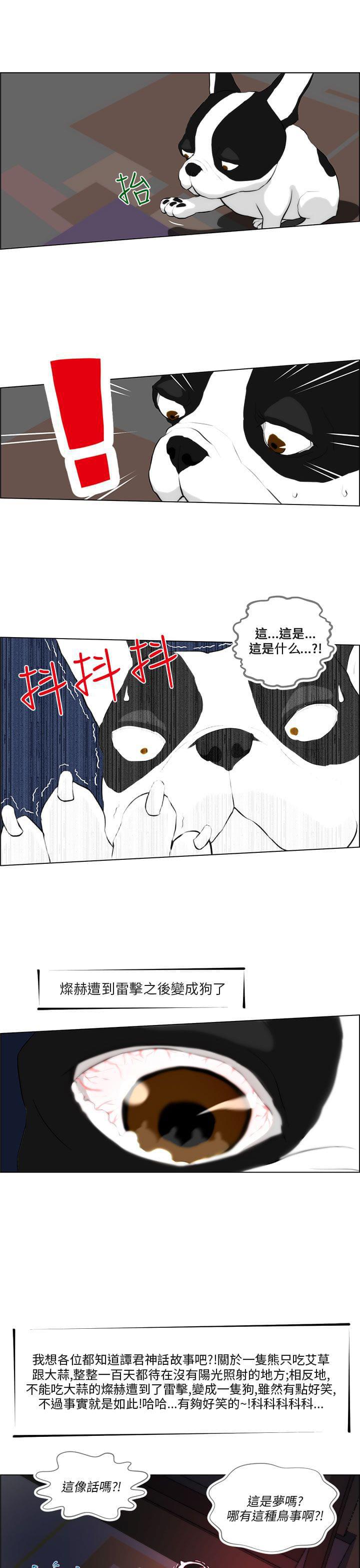 物种转换韩漫全集-第1话无删减无遮挡章节图片 