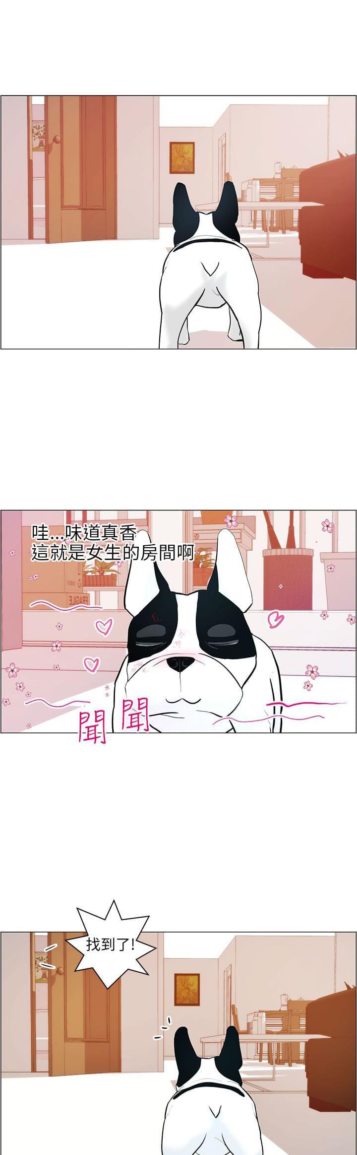 斗罗大陆漫画40-第9话全彩韩漫标签
