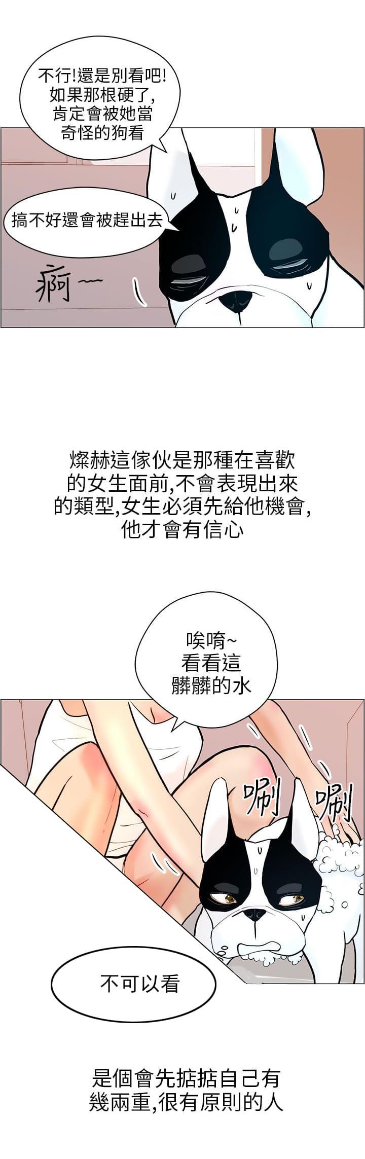 斗罗大陆漫画40-第10话全彩韩漫标签