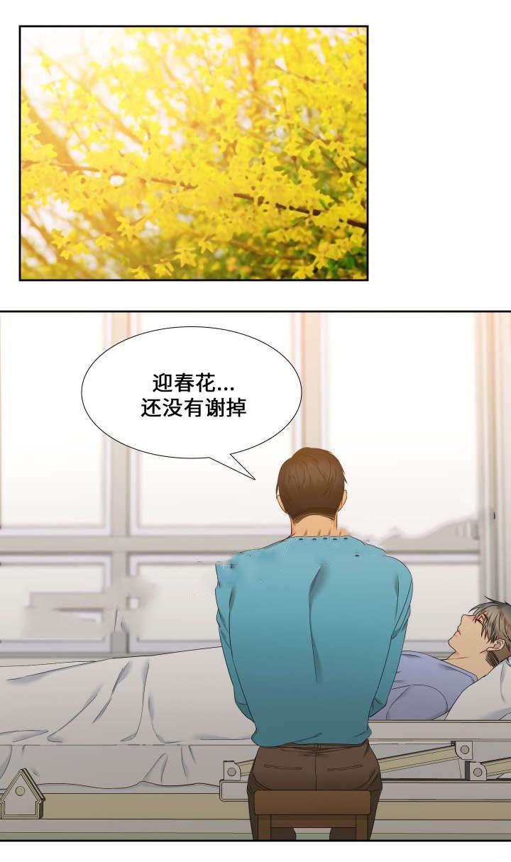 狼的香气韩漫全集-第91话无删减无遮挡章节图片 