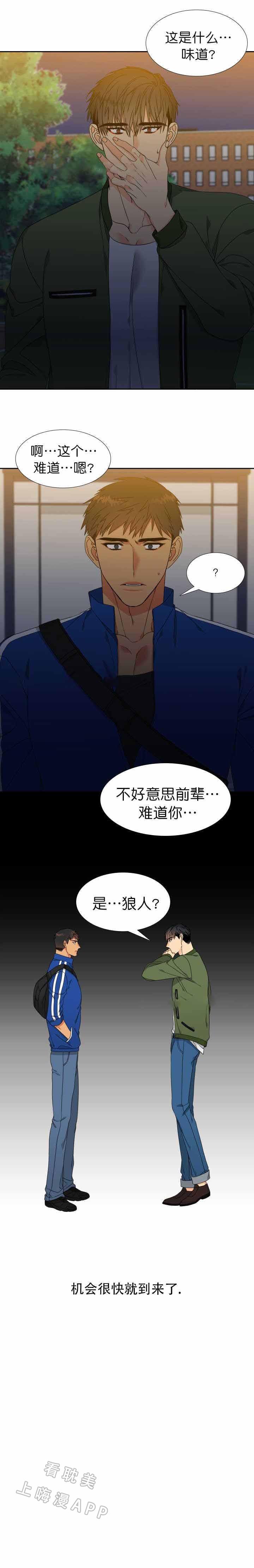 狼的香气韩漫全集-第117话无删减无遮挡章节图片 