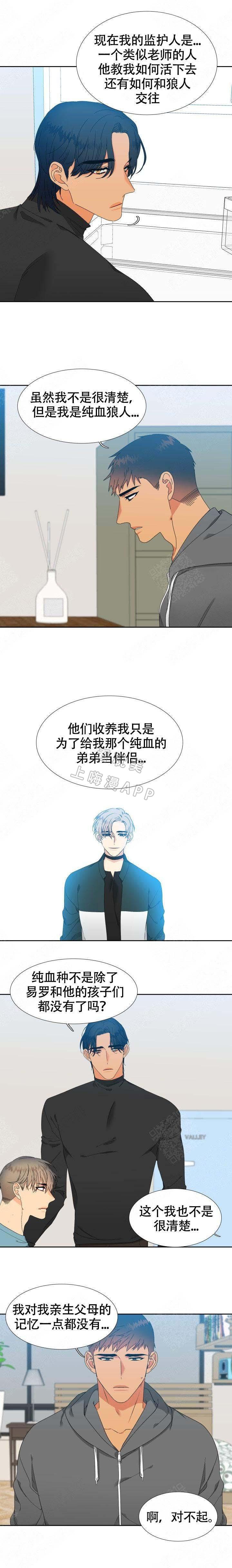 狼的香气韩漫全集-第145话无删减无遮挡章节图片 