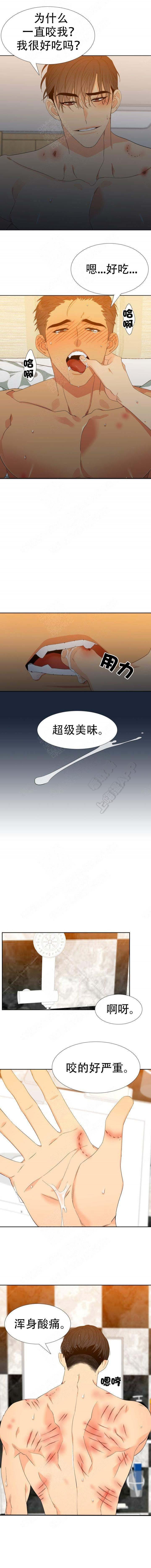 狼的香气韩漫全集-第152话无删减无遮挡章节图片 