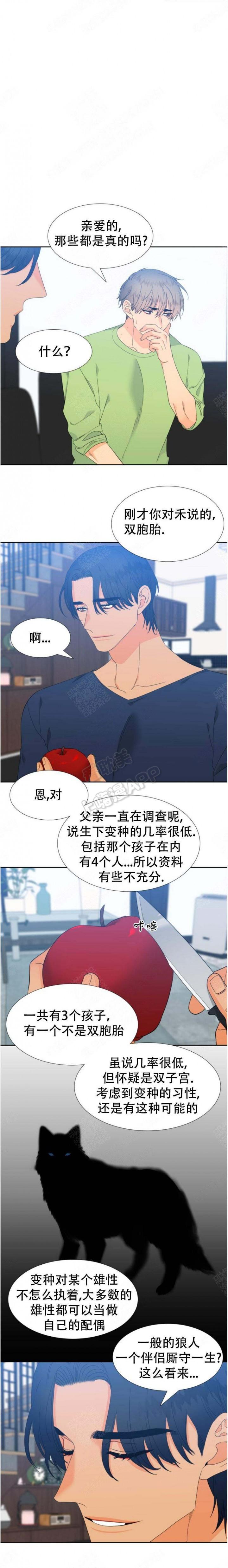 狼的香气韩漫全集-第173话无删减无遮挡章节图片 