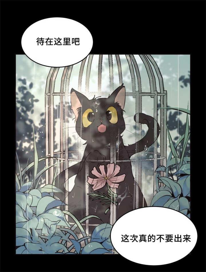 恋足漫画-27_新的猫咪全彩韩漫标签