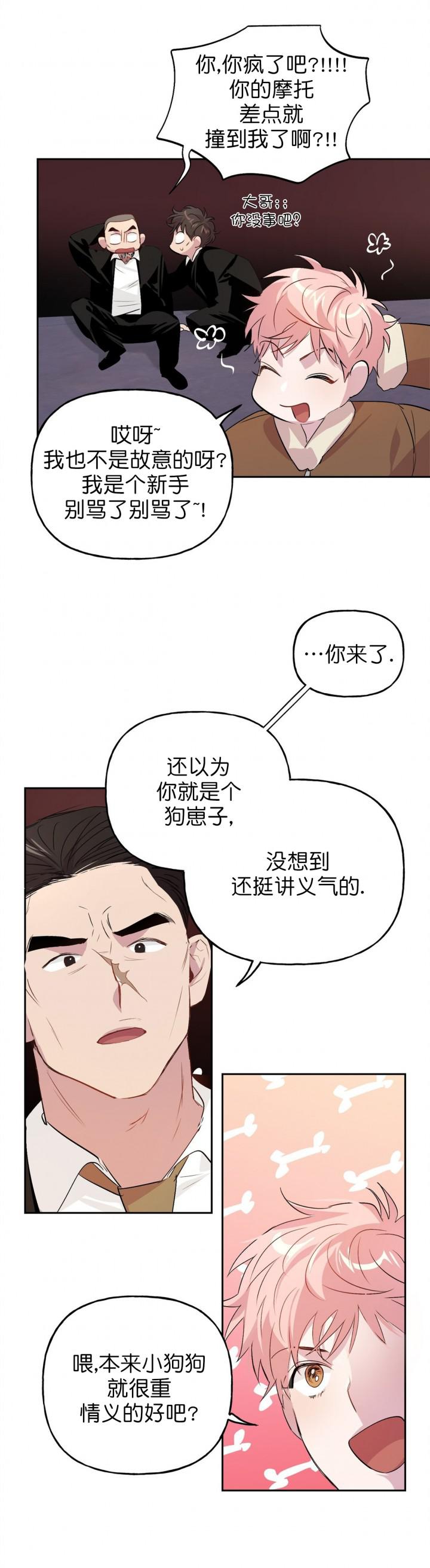 疯子与疯子韩漫全集-第16话无删减无遮挡章节图片 