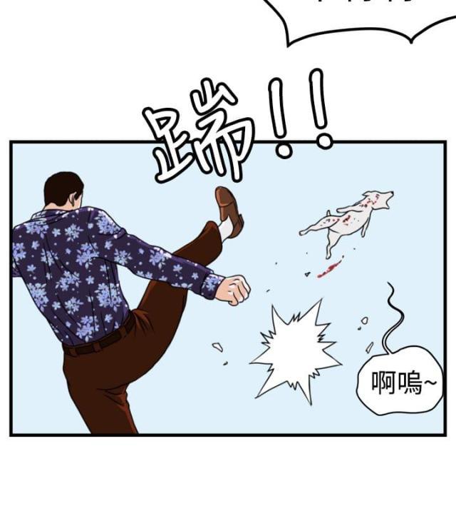 痞子苍蝇韩漫全集-第3话 金理事无删减无遮挡章节图片 