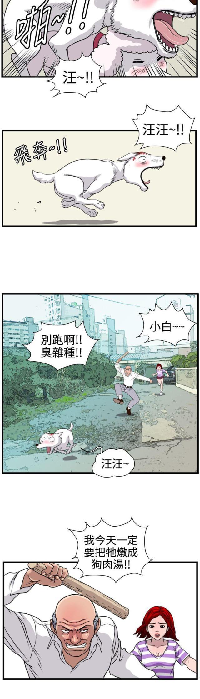 痞子苍蝇韩漫全集-第15话 小白无删减无遮挡章节图片 