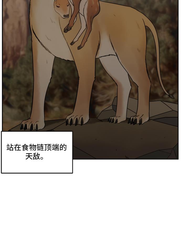 盗脸人生韩漫全集-[第38话] 裴善忠（4）无删减无遮挡章节图片 