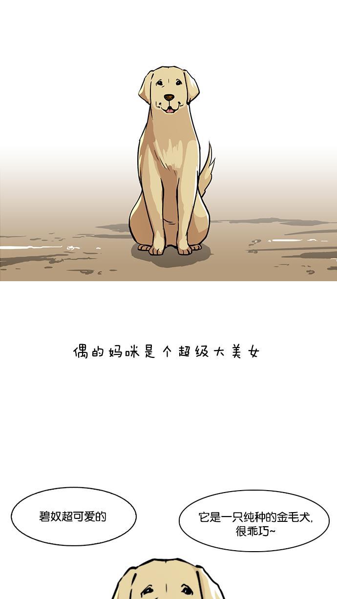 免费漫画在线-[第58话] 流浪犬 - 伊奴（1）全彩韩漫标签