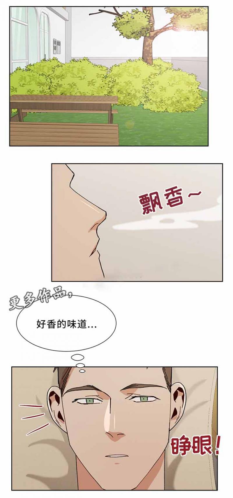 灼灼琉璃夏漫画-第68话 68全彩韩漫标签