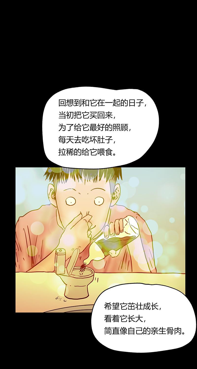 不可描述韩漫全集-[第45话] 爱的饲养无删减无遮挡章节图片 