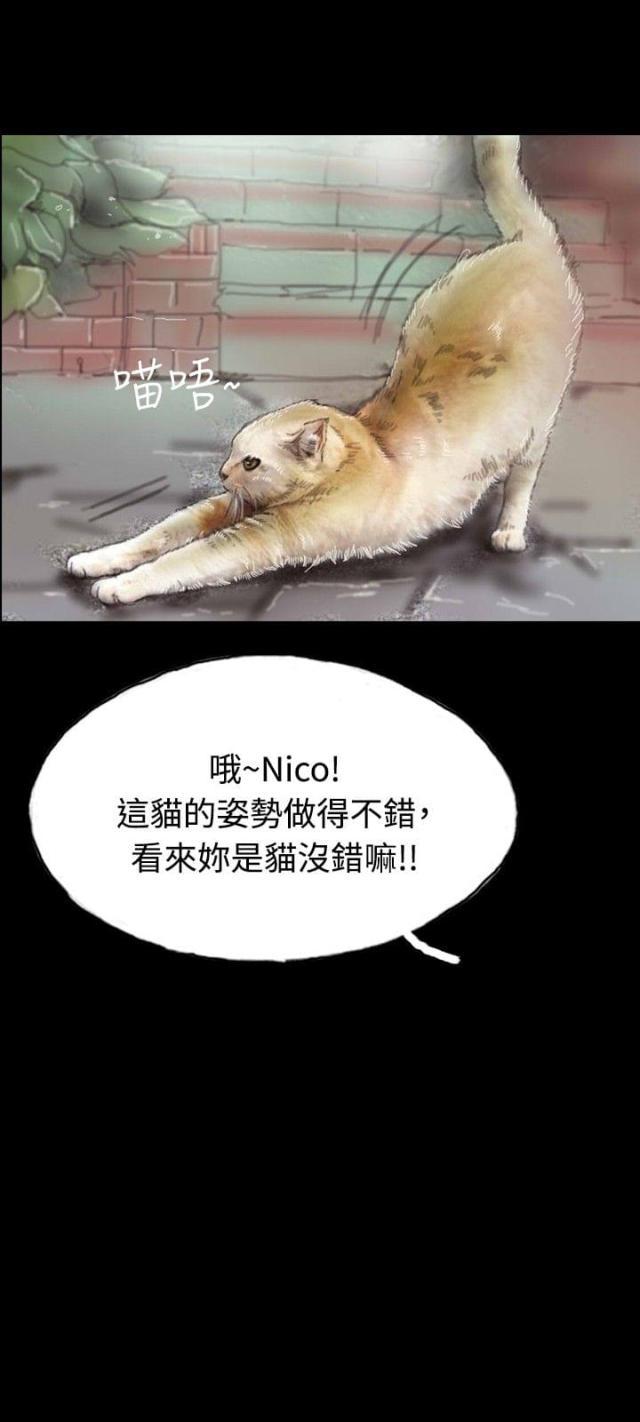 美术班讲师韩漫全集-第5话 收养小猫无删减无遮挡章节图片 