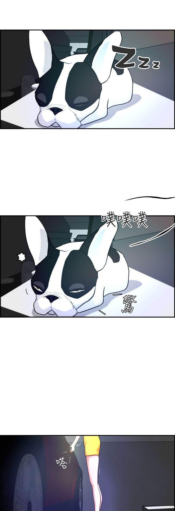 萌宠之爱韩漫全集-第3话 流浪无删减无遮挡章节图片 