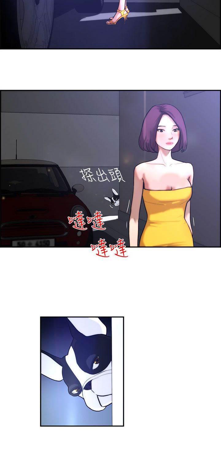 萌宠之爱韩漫全集-第3话 流浪无删减无遮挡章节图片 