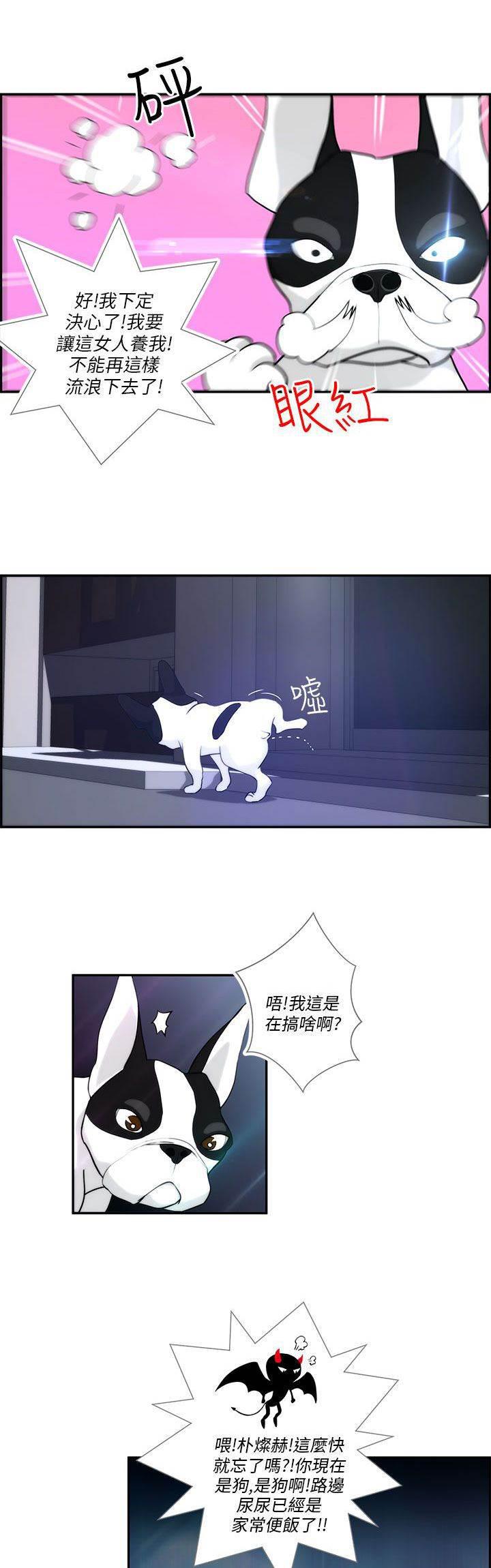 萌宠之爱韩漫全集-第3话 流浪无删减无遮挡章节图片 