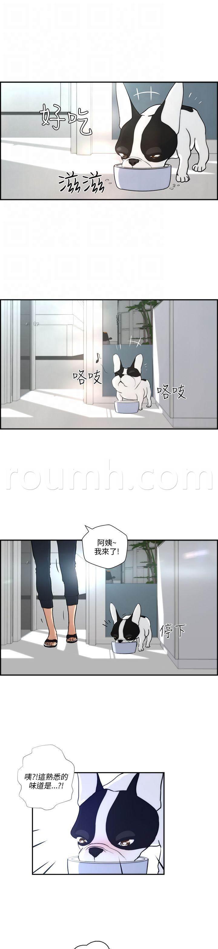 萌宠之爱韩漫全集-第3话 流浪无删减无遮挡章节图片 