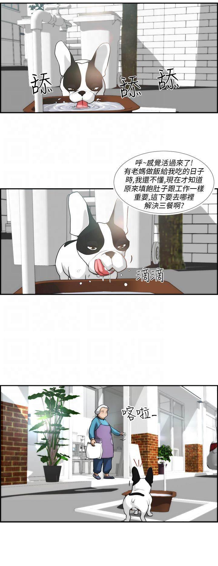 萌宠之爱韩漫全集-第3话 流浪无删减无遮挡章节图片 