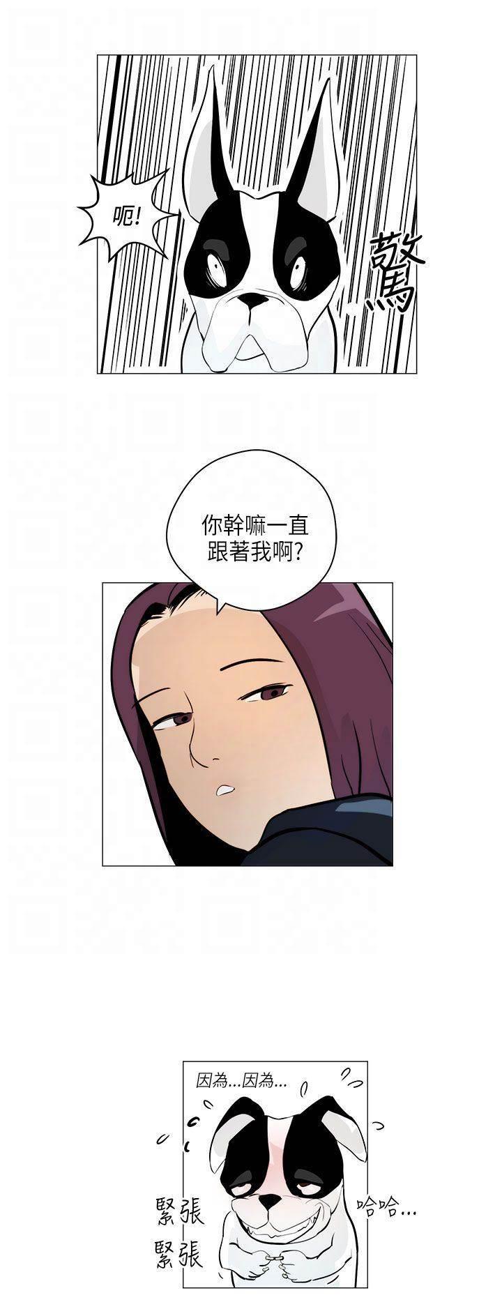 萌宠之爱韩漫全集-第4话 跟随无删减无遮挡章节图片 