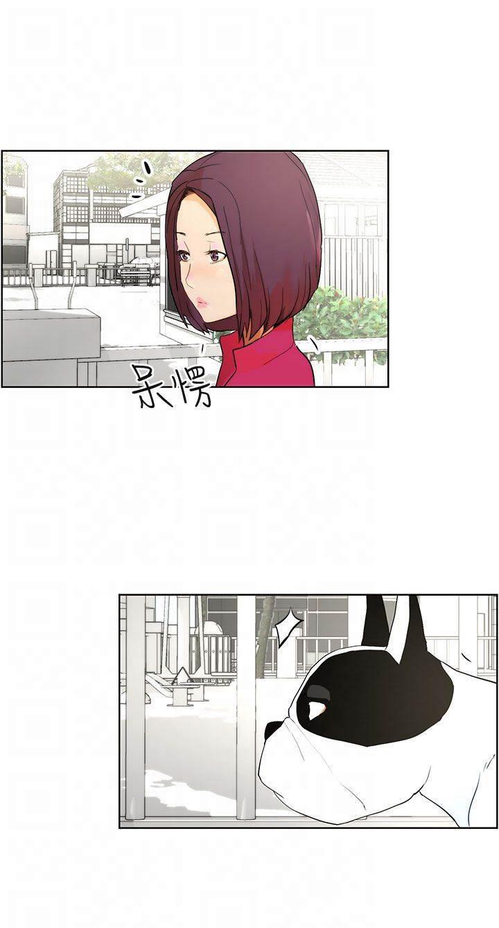 萌宠之爱韩漫全集-第7话 遛狗无删减无遮挡章节图片 