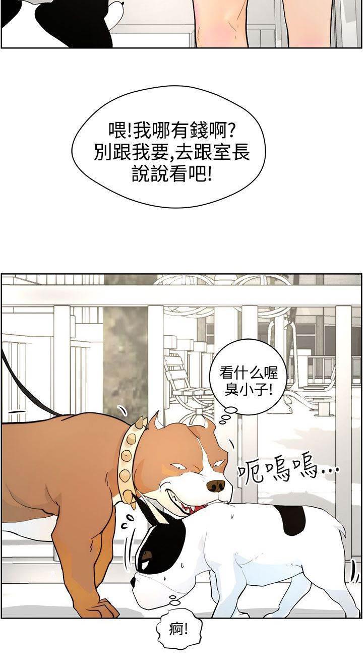 萌宠之爱韩漫全集-第7话 遛狗无删减无遮挡章节图片 
