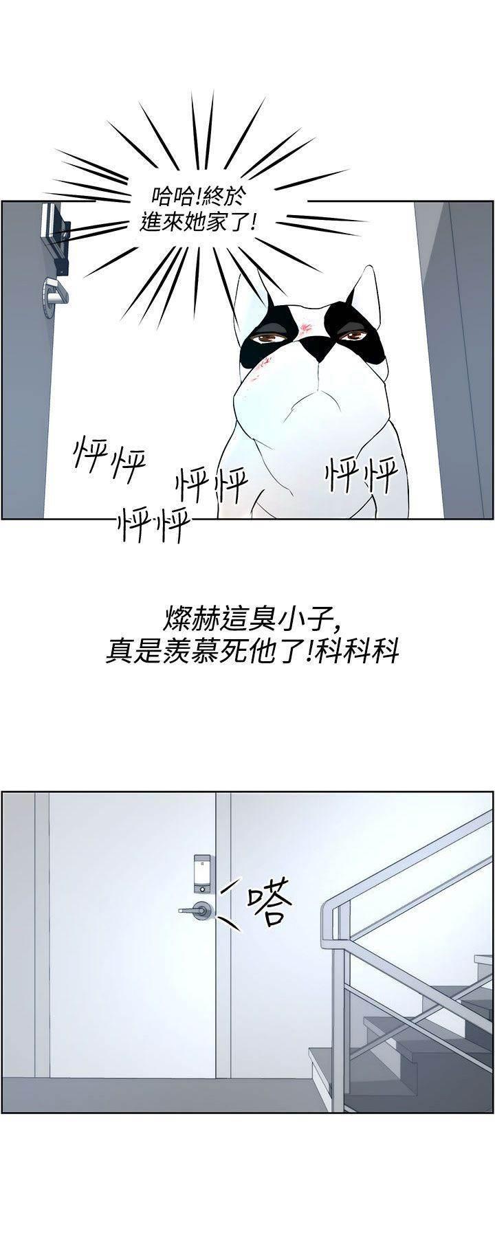 萌宠之爱韩漫全集-第8话 护主有功无删减无遮挡章节图片 