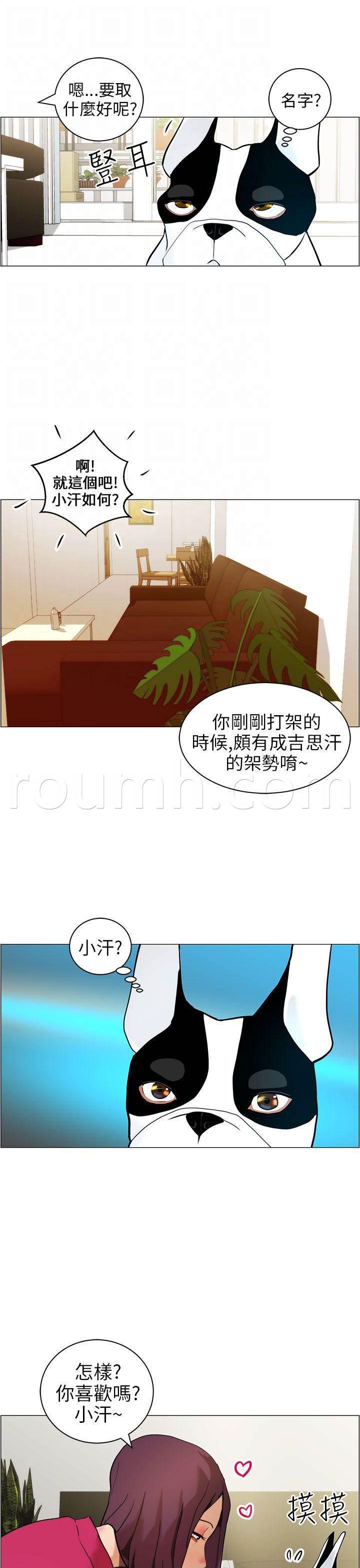 萌宠之爱韩漫全集-第9话 小汗无删减无遮挡章节图片 