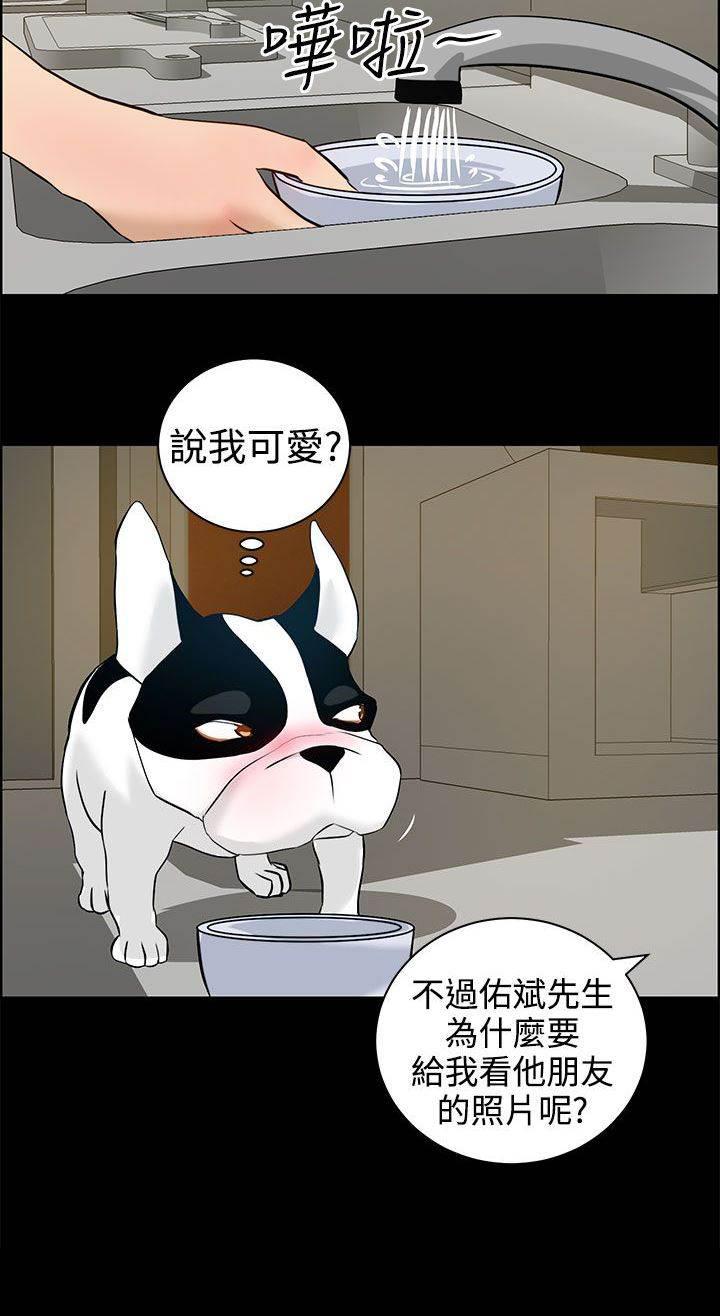 萌宠之爱韩漫全集-第16话 阴谋无删减无遮挡章节图片 