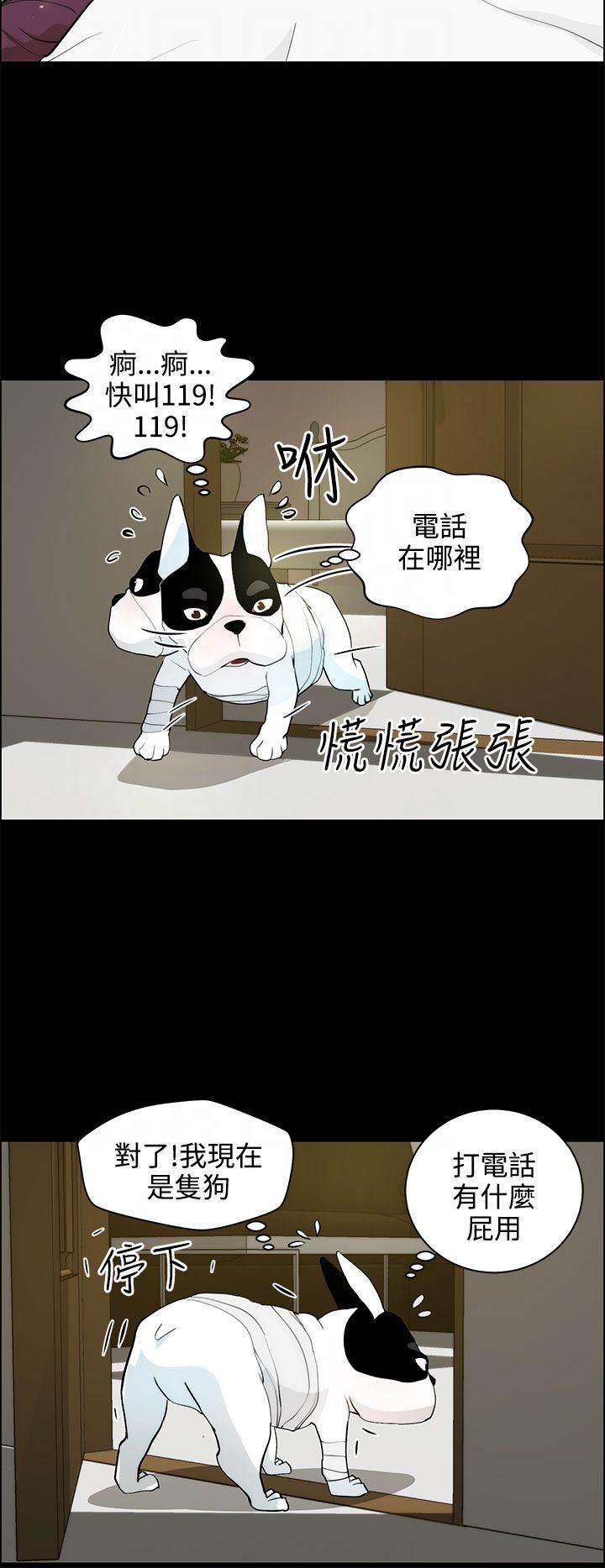 萌宠之爱韩漫全集-第28话 求救无删减无遮挡章节图片 