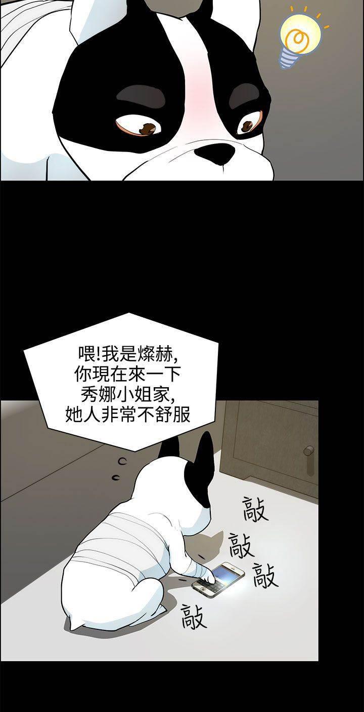 萌宠之爱韩漫全集-第28话 求救无删减无遮挡章节图片 