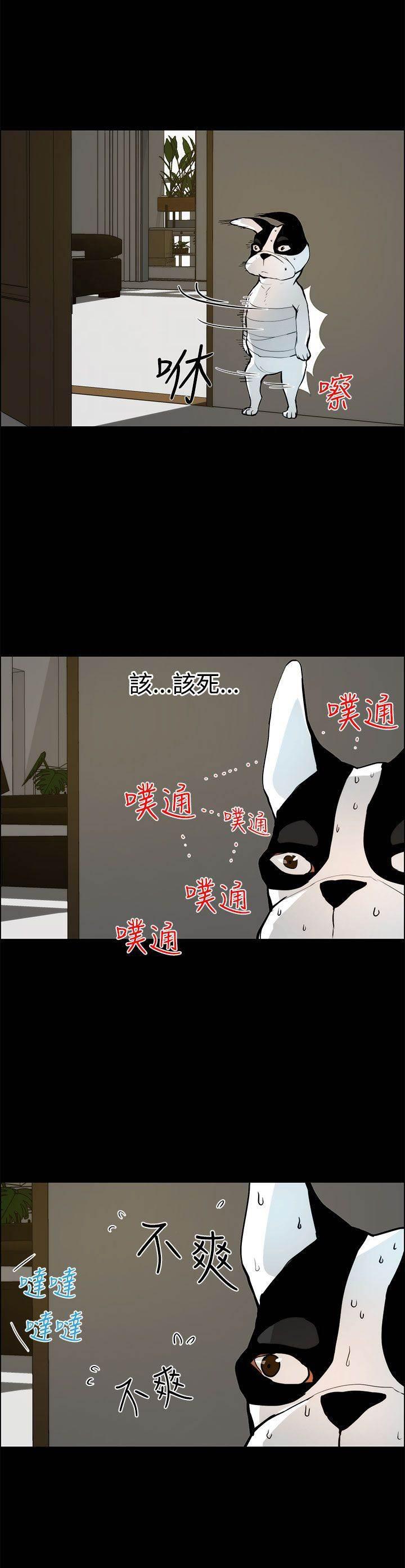 萌宠之爱韩漫全集-第28话 求救无删减无遮挡章节图片 