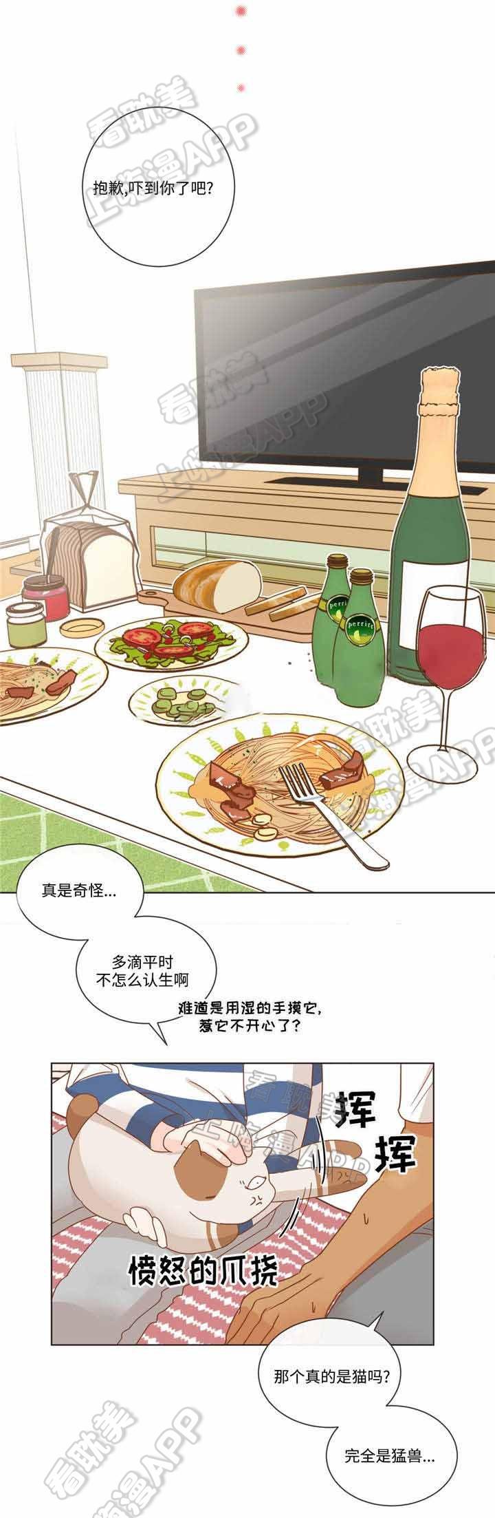 夫妻成长日记在线漫画-第66话全彩韩漫标签