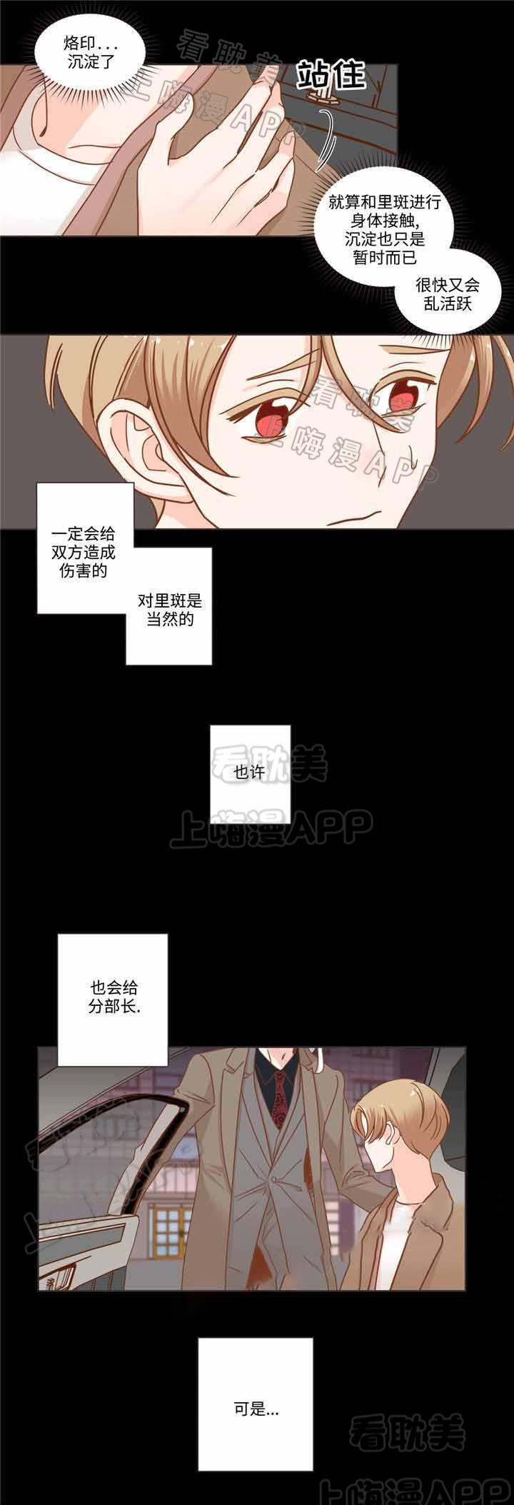 蛇族烙印/恶魔的诱惑韩漫全集-第62话无删减无遮挡章节图片 