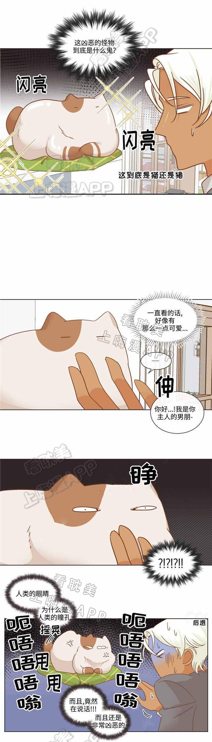 dnf漫画全集-第66话全彩韩漫标签