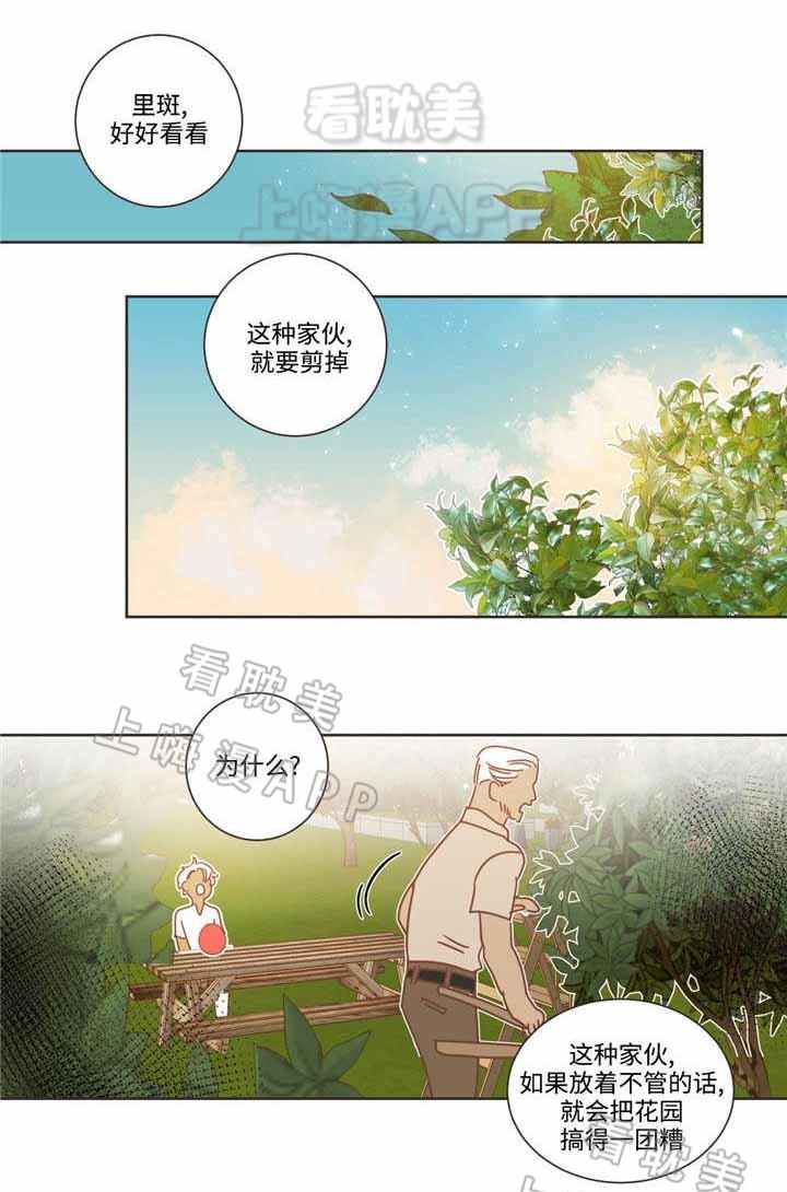 蛇族烙印/恶魔的诱惑韩漫全集-第68话无删减无遮挡章节图片 