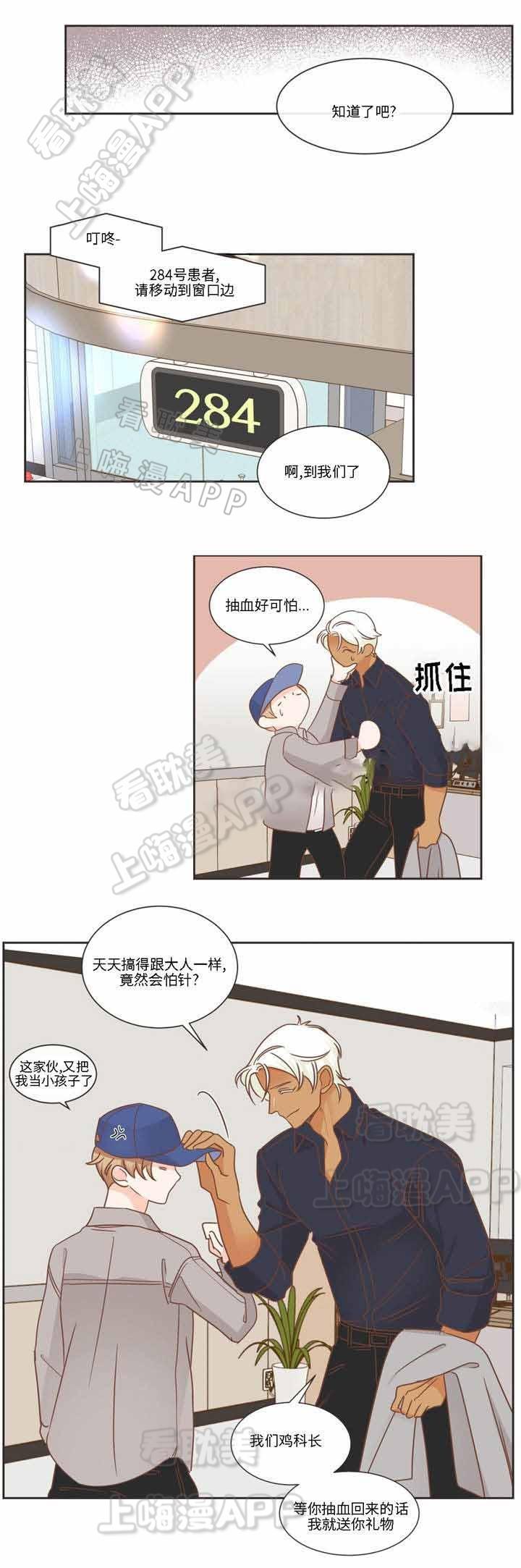 蛇族烙印/恶魔的诱惑韩漫全集-第78话无删减无遮挡章节图片 