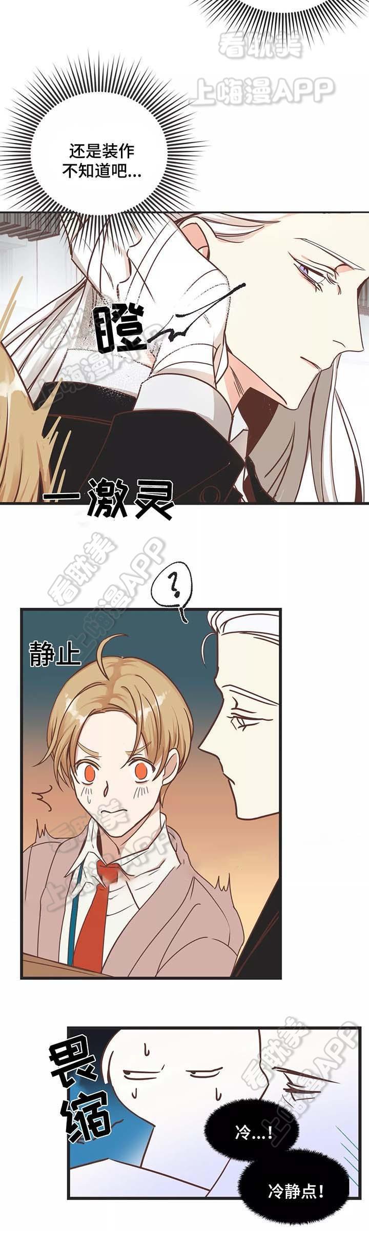 蛇族烙印/恶魔的诱惑韩漫全集-第81话无删减无遮挡章节图片 