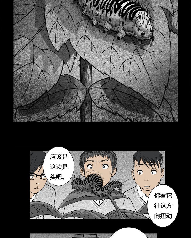 西陵学院灵异短篇集韩漫全集-3_虫女(一)无删减无遮挡章节图片 