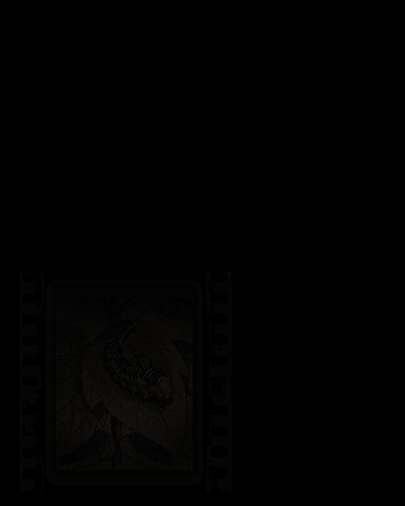 西陵学院灵异短篇集韩漫全集-54_完结无删减无遮挡章节图片 