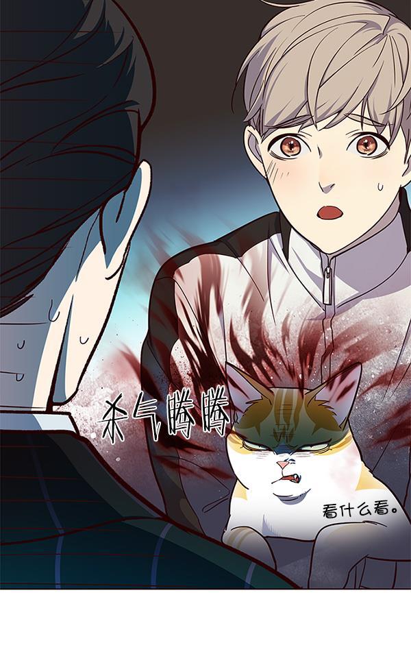 觉醒吧，铲屎官！韩漫全集-第23话无删减无遮挡章节图片 