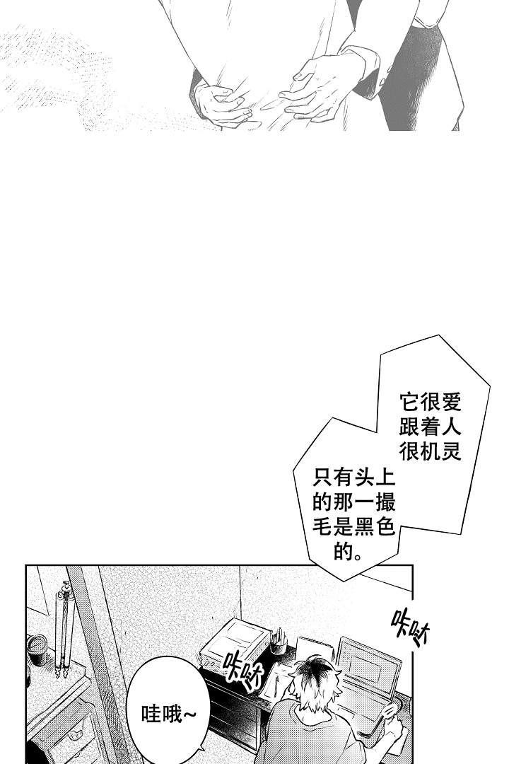 让风拂过你的心韩漫全集-第15话无删减无遮挡章节图片 
