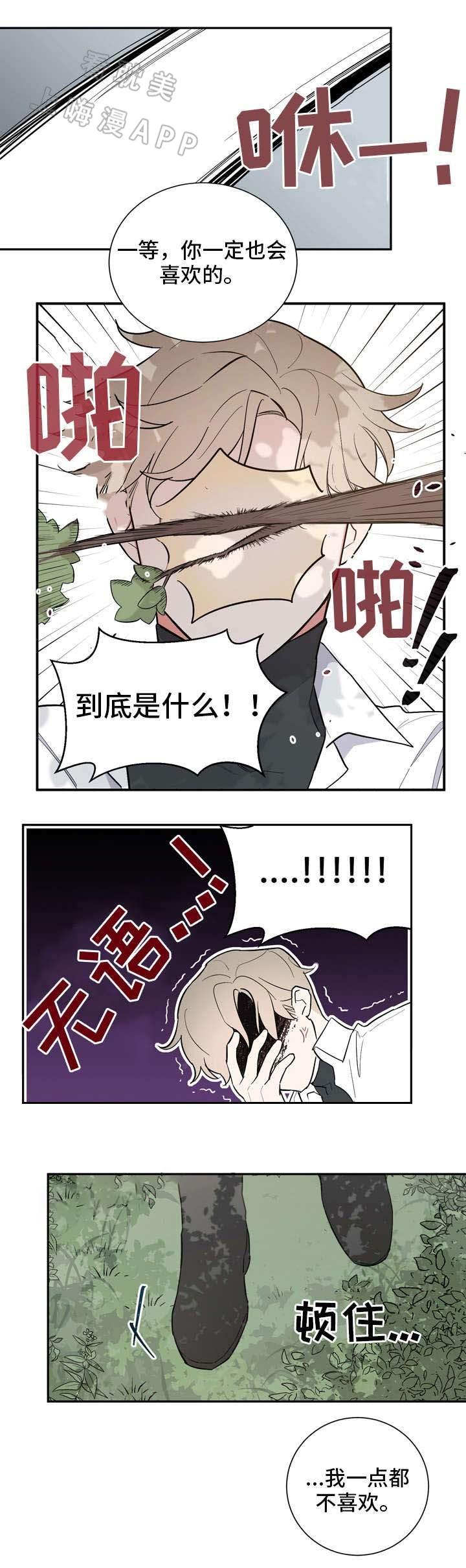 请爱我吧韩漫全集-第21话无删减无遮挡章节图片 