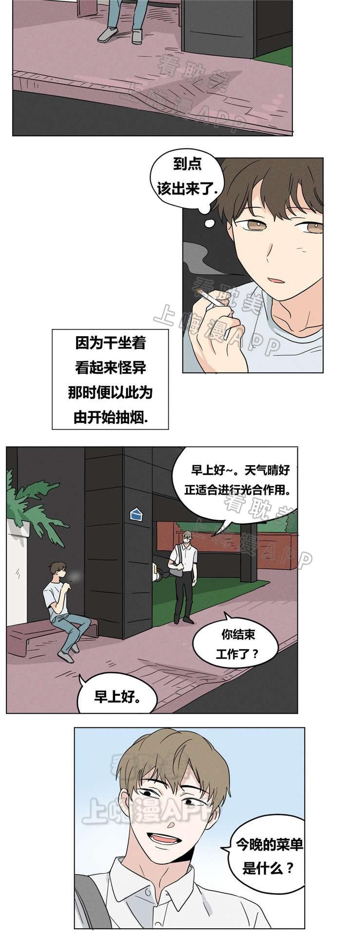 狐妖小红娘漫画-第17话全彩韩漫标签