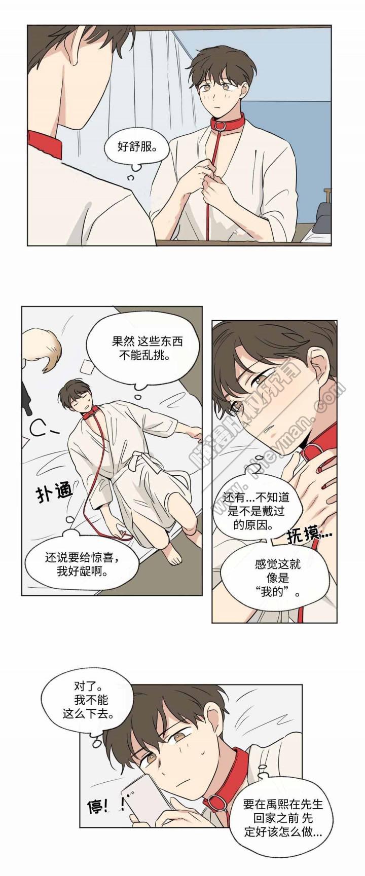 狐妖小红娘漫画-第55话全彩韩漫标签