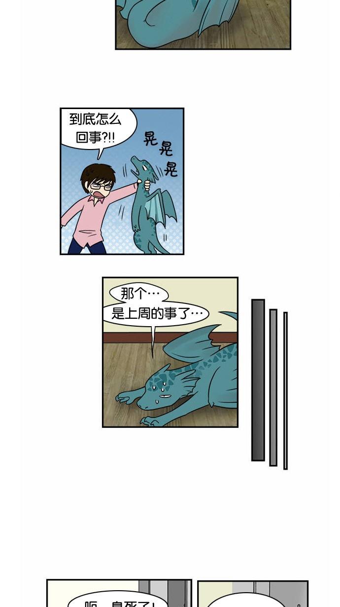 邻家小龙韩漫全集-[第16话] 简而言之，龙是最粗心大意的生物无删减无遮挡章节图片 